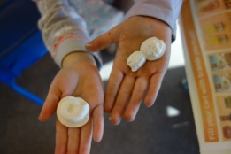 Students holding plaster casts of invertebrate marine fossils at the San Juan County Library craft afternoon